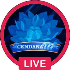 CENDANA777 - Pertarungan Seru dalam Battle Royale